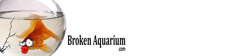 best aquarium advice, broken aquairum