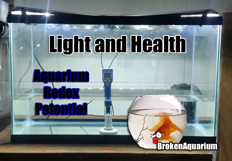 Light and fish health